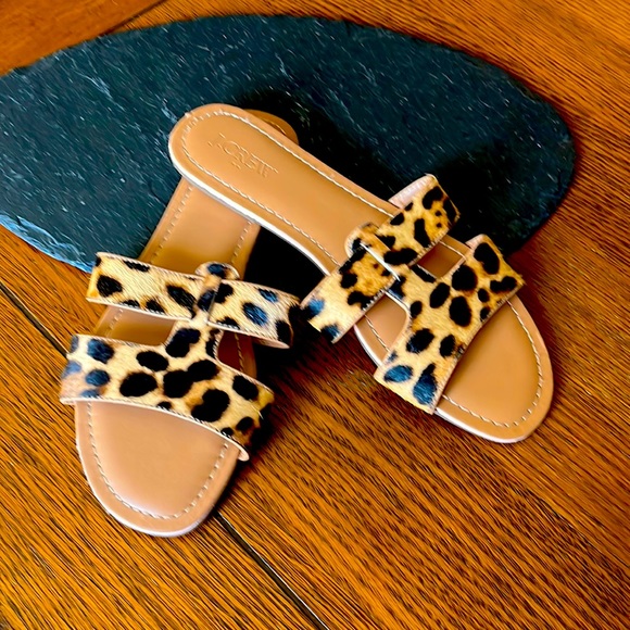 NWOT J. Crew leather Sandals (Size 8)